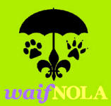 WAIF NOLA